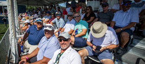 15th Green Skybox